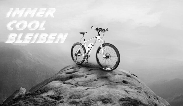 Leisger eBikes im Überblick