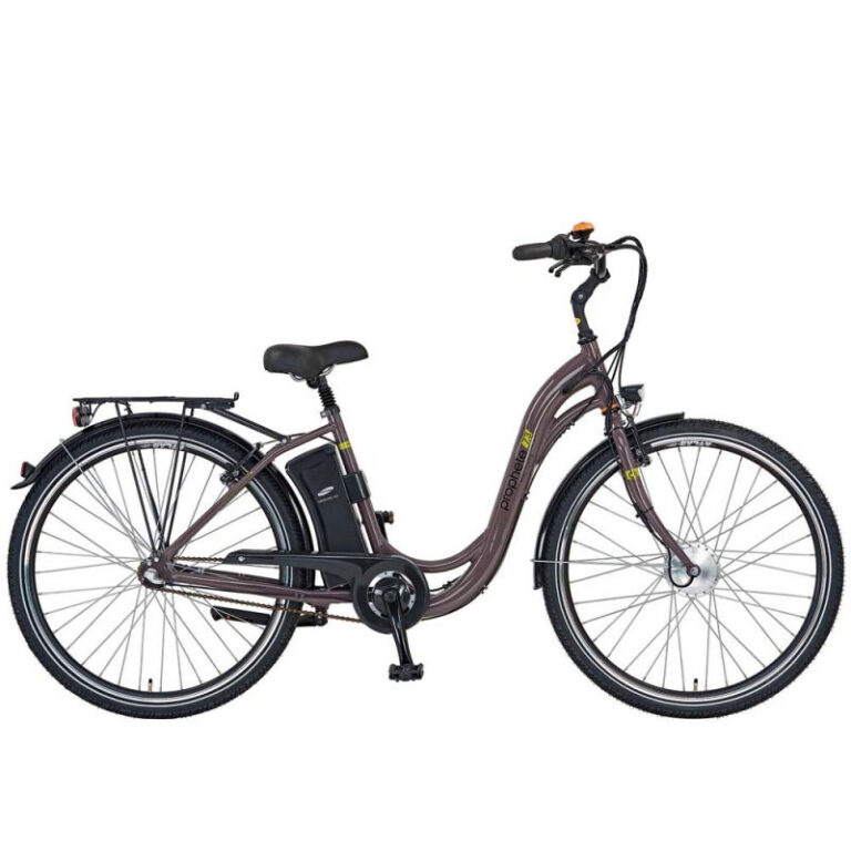 Vorgestellt: Prophete Navigator 7.3 City E-Bike