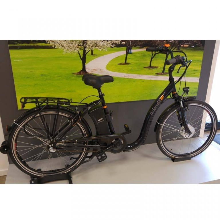 Tiefeinsteiger EBike im Test Prophete Navigator 7.4 mit 26 Zoll