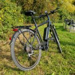 Fischer ETH & ETD 1761 Trekking Bike