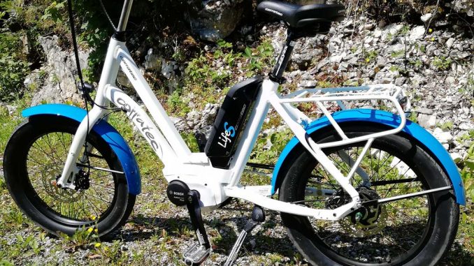 Corratec LifE S Kompaktrad im Test