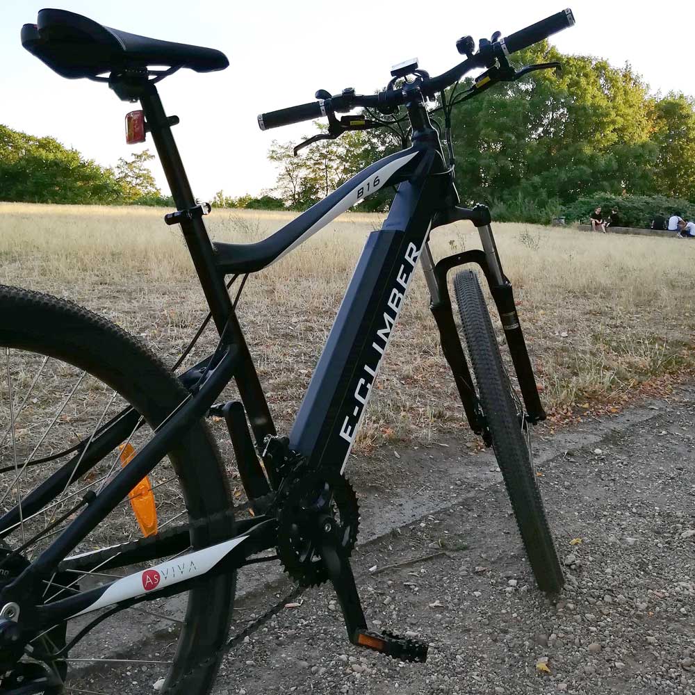 Im Test: Asviva B16 E-Mountainbike mit Stadtgenen
